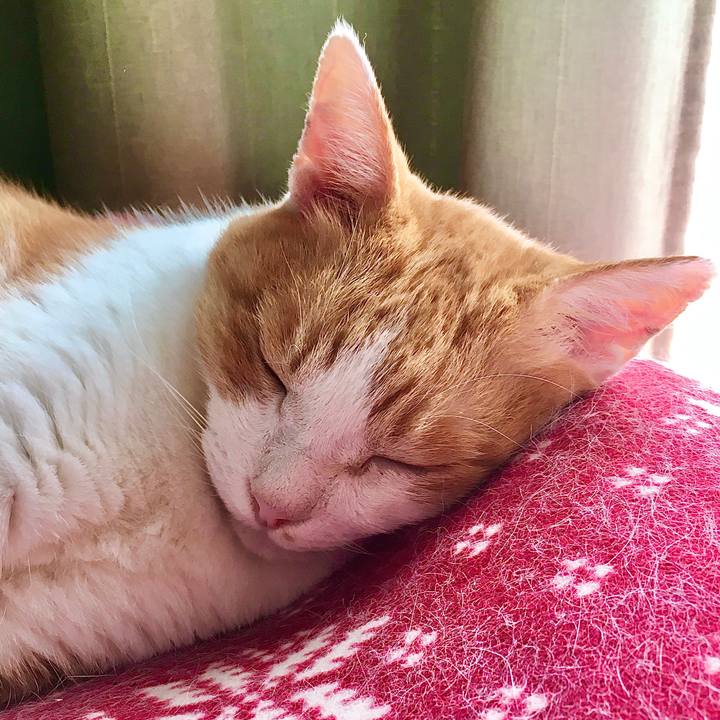 F01a10b1 d574 42e8 8017 ed34cd657713 1570692032231