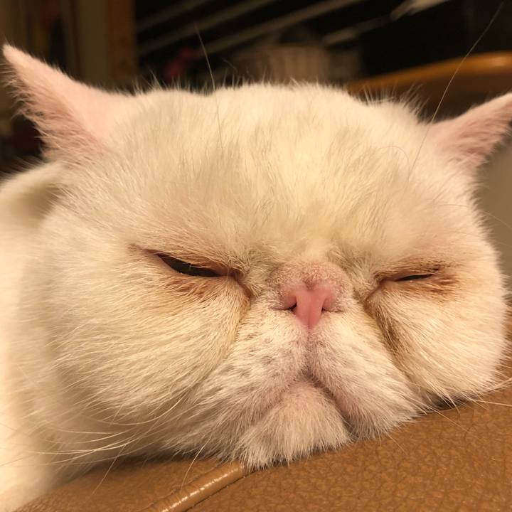 F01a111b 3790 4923 926b 372bbd49343a 1621250001013