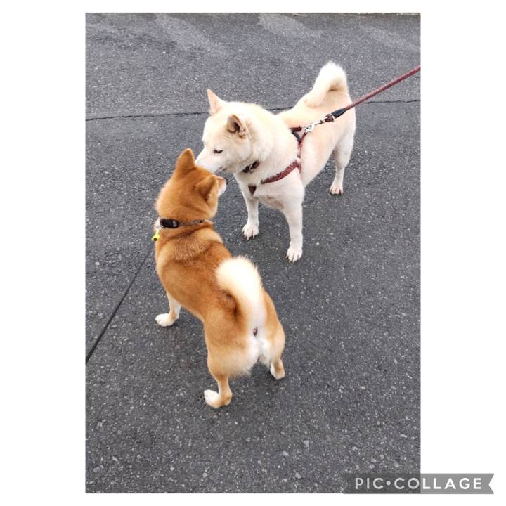 F01a1b23 4057 41db 87d4 7c2fa49b1b80 1694300063601