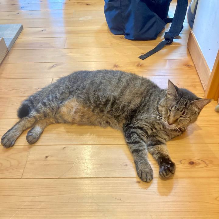 F01a1bc5 8f31 4a23 a061 476d0d2c7048 1662342507780