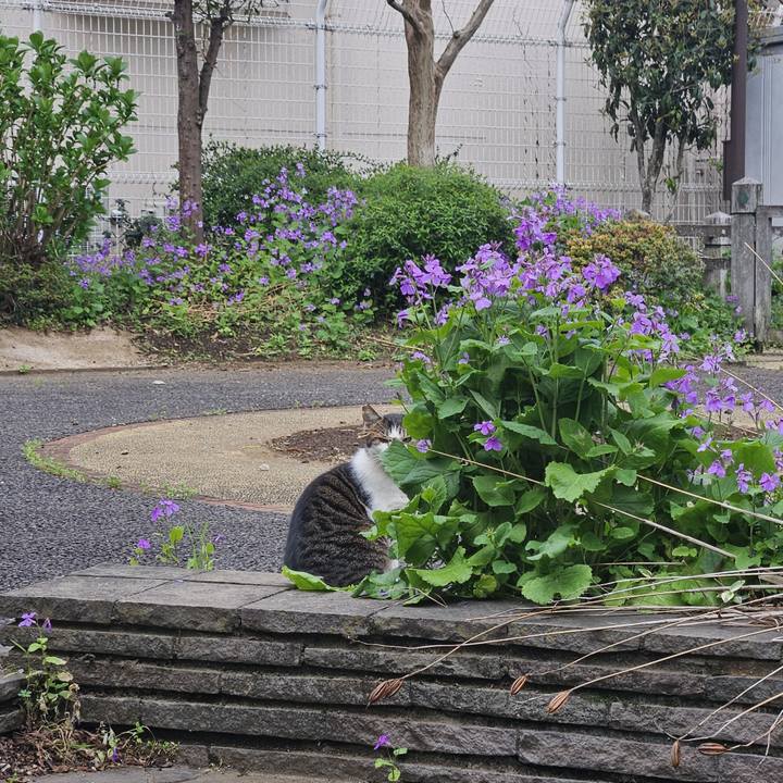 F01a20b8 6b4a 4545 8bc0 4a37b20e43c9 1712106440256