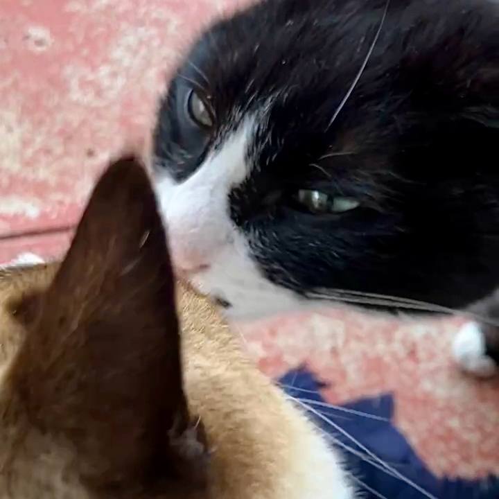 F01a6db8 dfb5 4839 84e0 747a6e591b64 1741142232084