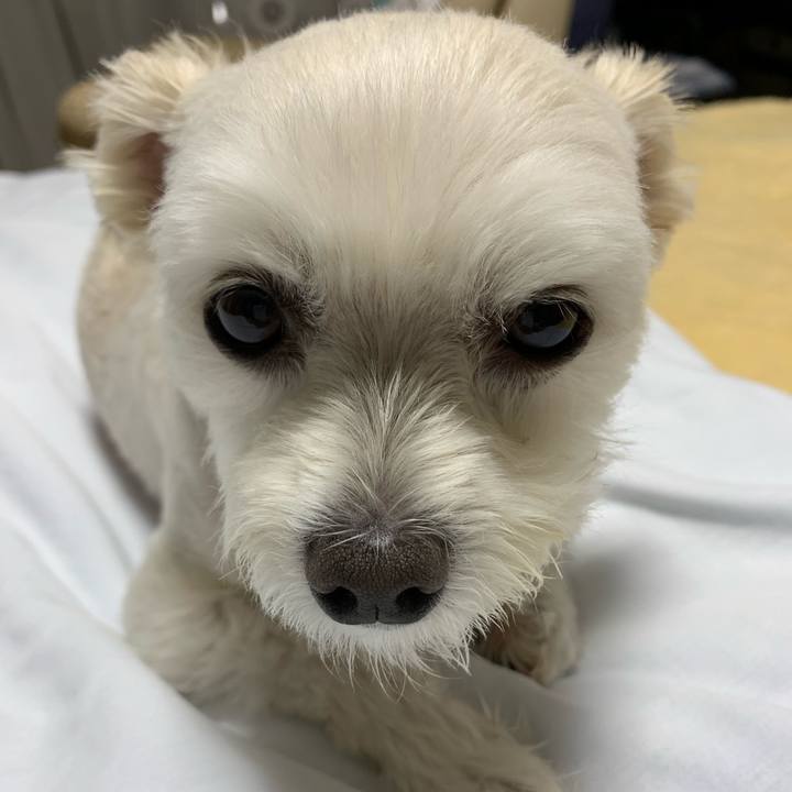 F01ad459 3b67 4f61 8bc2 791a2a7b5088 1570715695395