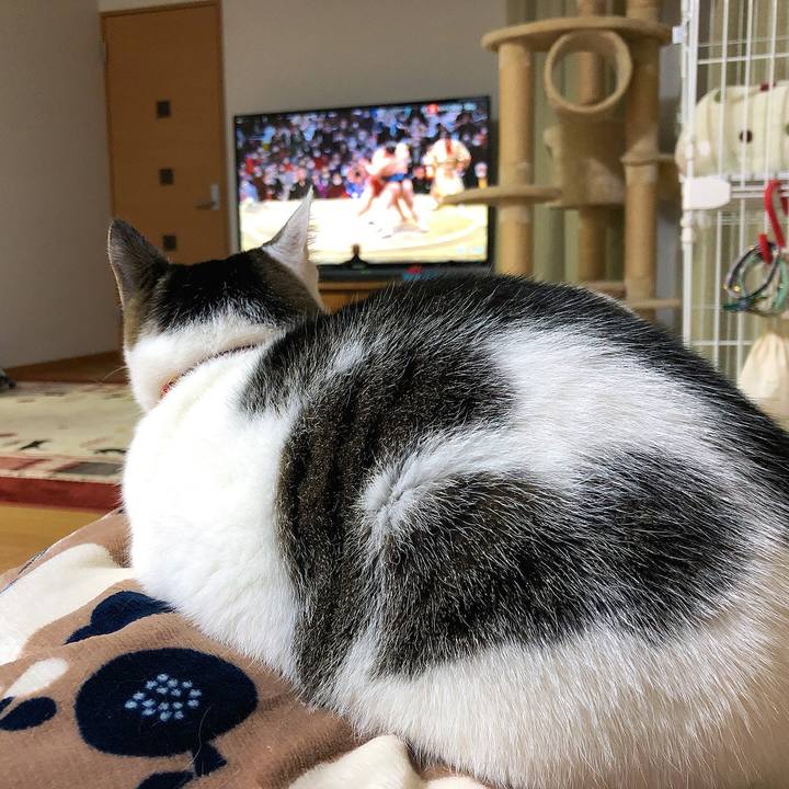 F01af38c b439 4dba aa6b 575f3bbda690 1673426509339