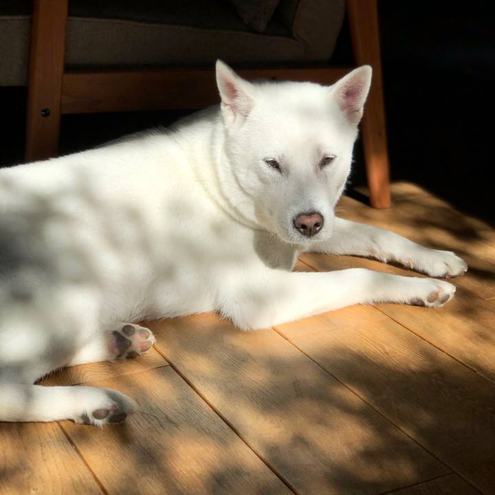 F01b0131 32b5 4415 b066 3f8c2a8f9c66 1605320539249