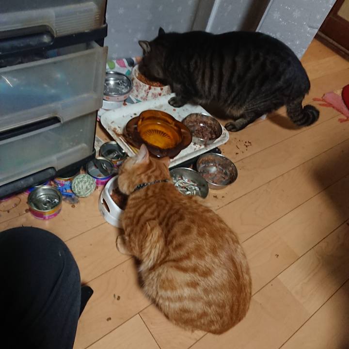 F01b06e2 83e8 49f2 9e96 6f44c2e13c23 1643536413786