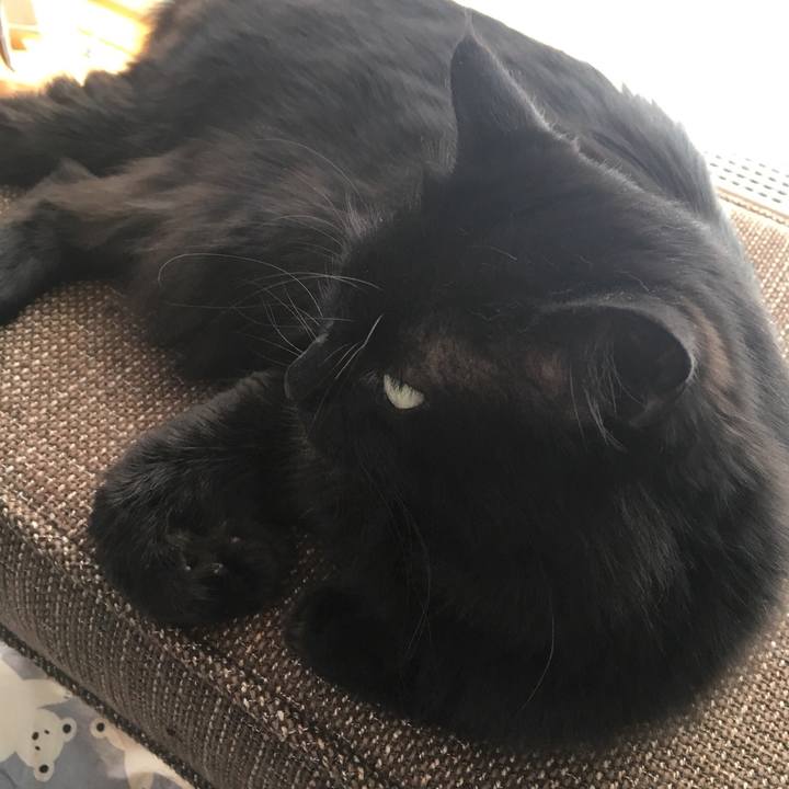 F01b941a 2cd4 4dd0 bcb5 5648f94a196e 1527578083312