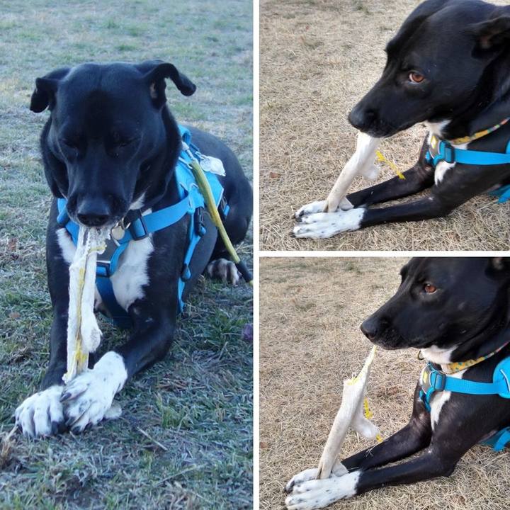 F01ba410 3097 487d 80ee 591320a55cfc 1609636372976