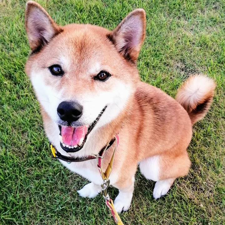 F01bcd0e 909b 4520 9e11 2ff34d1bdcff 1598347123377