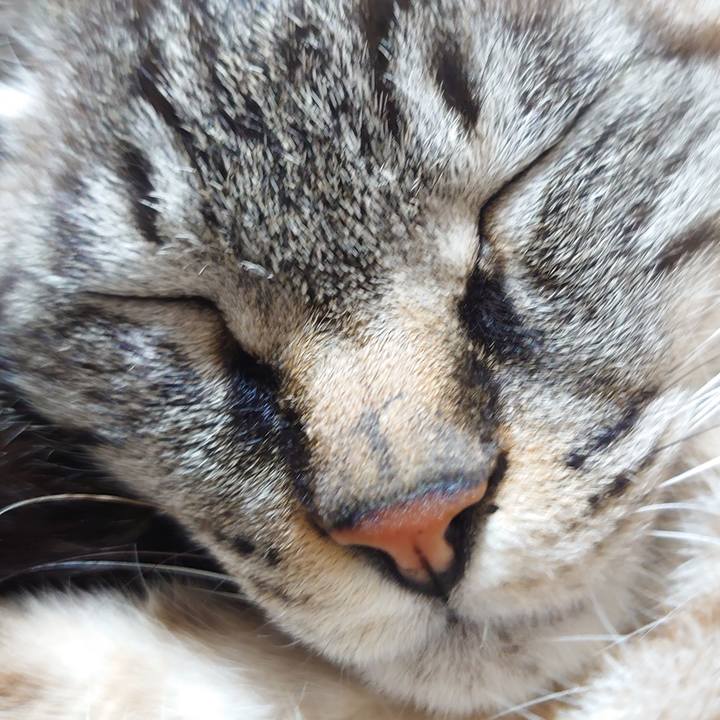 F01be7c4 6361 4078 97ab 622951ba5676 1646051728086