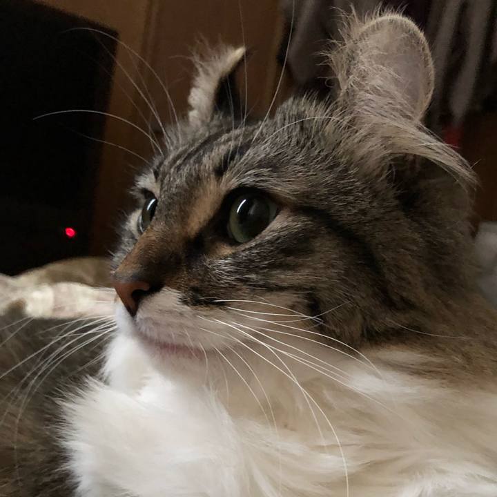 F01c2030 4fc5 490a 831f a8bfa0c6fa01 1563027915343