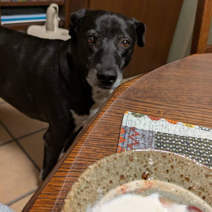 F01c2212 5f99 4022 9b07 4ac71f8650bd 1737323590784