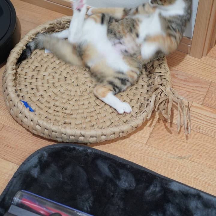 F01c2a1f ca0b 4377 bd32 e68322de7c2f 1580049354527