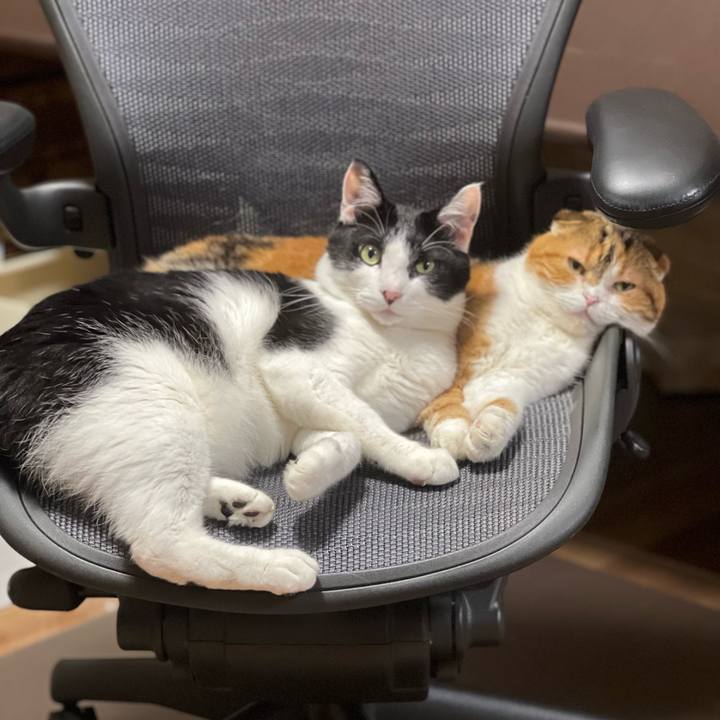 F01c3833 5c90 4b06 8343 1832e481e30c 1688729166834