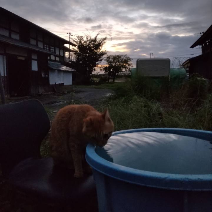 F01c448d d177 4276 8861 f917a828550c 1663706216360