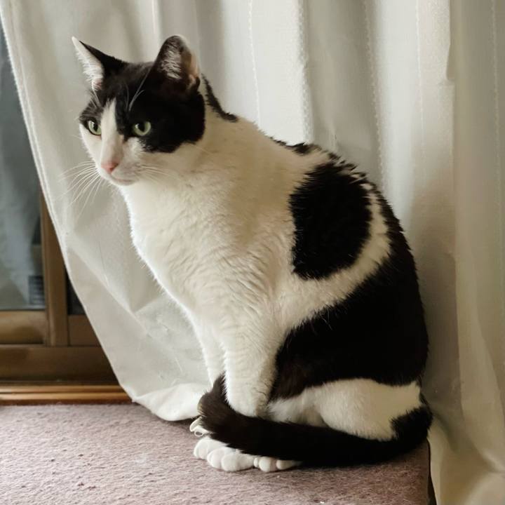 F01c4a6e 4685 4ff4 9b02 4024688a5beb 1656212609682