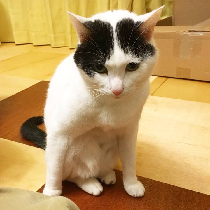 F01c6814 1bde 40f3 8c2c 1039090407a5 1575282057473