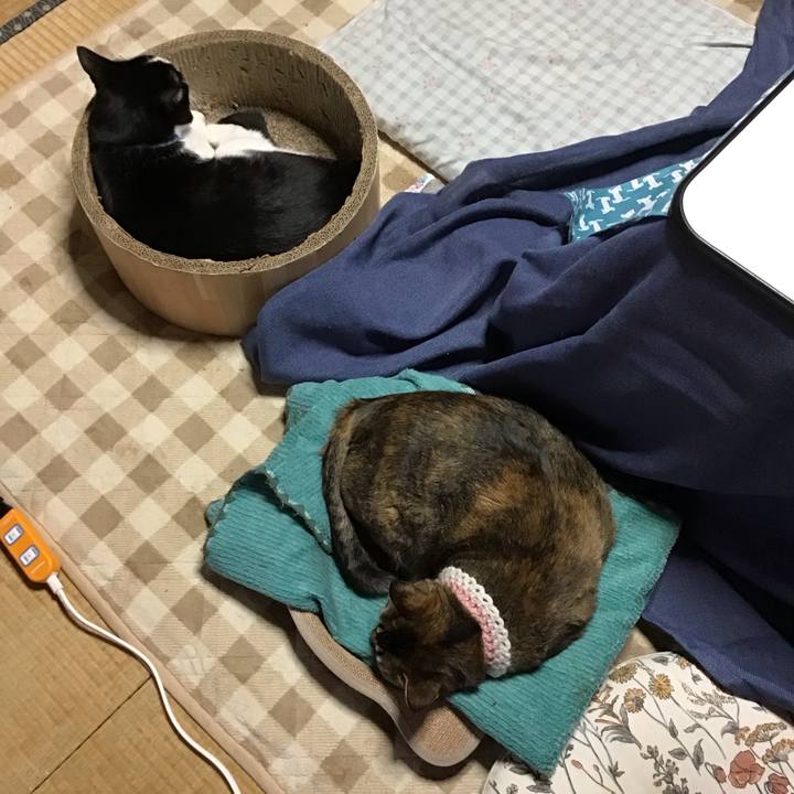 F01c6c59 fc26 4b5e adba ec9aa629de26 1741088479249