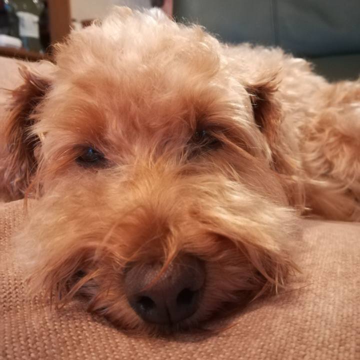 F01c7309 d34c 41ca a126 c9dc87f8edb6 1533854358086