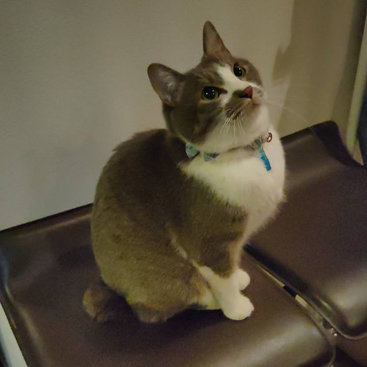 F01cc8b9 41ca 4cc2 a213 db52fa6e036b 1672353125413