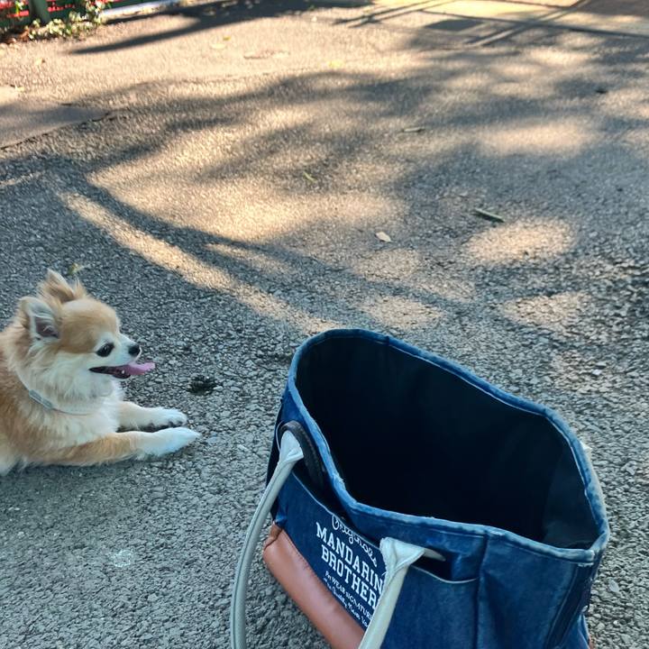 F01d15b8 c160 41d7 811c 0415845a91fb 1755227913644