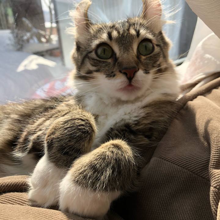 F01d18d2 1d9c 4387 b38e f3006efdc6f4 1518931718987