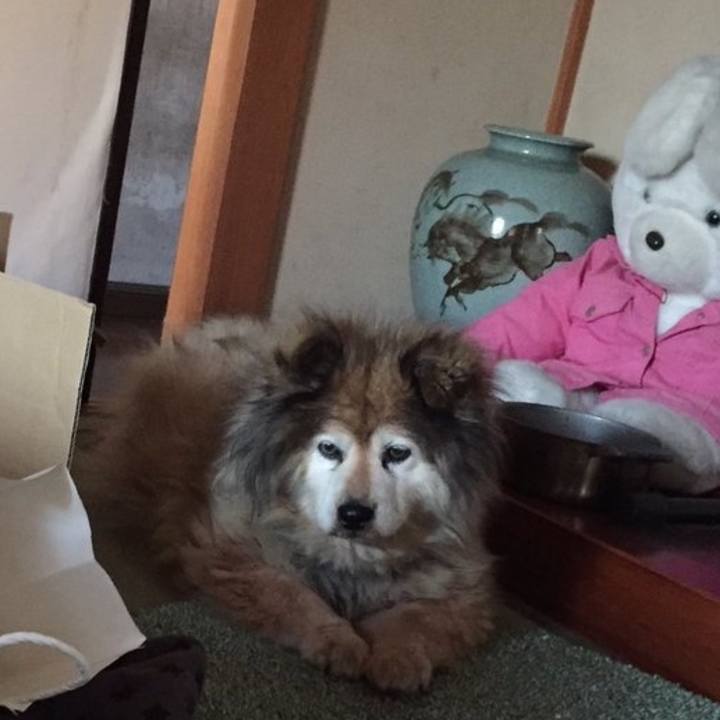 F01d5e4f 8d0c 4254 97db 1dc61f68d91b 1588563876977