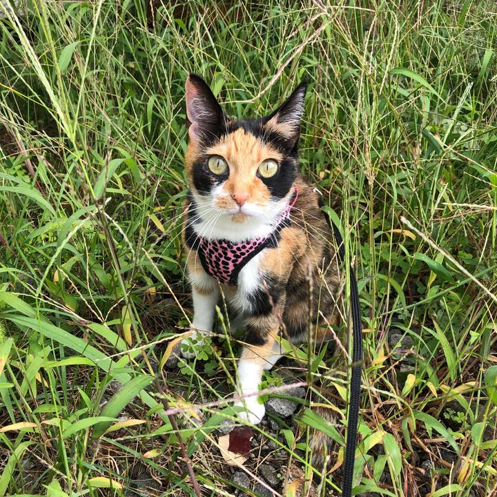 F01d9906 cbc2 4412 aeed 0784cc823153 1537063270941