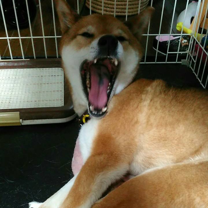 F01d9eb7 9fd1 40fe 8499 a3f71175e789 1556676286636