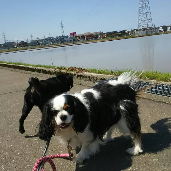 F01e23dc 6fde 4689 b066 429f915a1e34 1524705657567