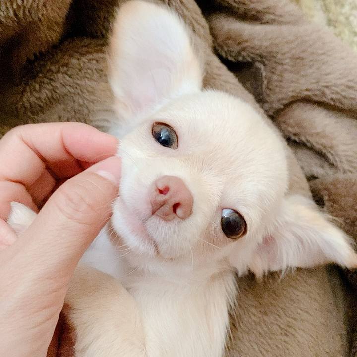 F01e40d9 608e 46b5 be92 cad3115fbb0c 1592952959303