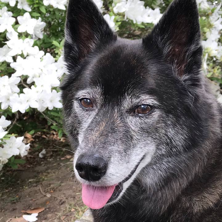 F01e5ea1 def3 48cd 86dc 7dfa24811553 1591615315428