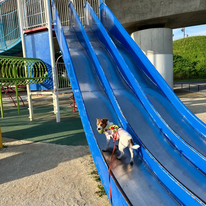 F01eb3cb 13c4 451e 80aa 988d7a280e94 1720411850396