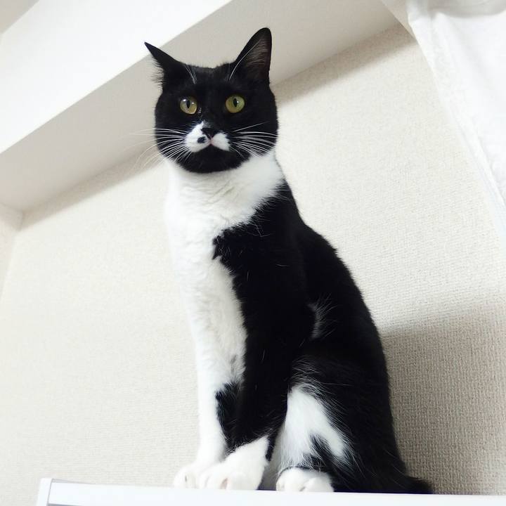 F01efaba e977 40f6 8154 35c9c84e51f2 1528516411874