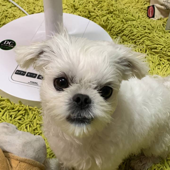 F01f1b4e 9711 41df b4ac 41bc5dff6838 1656251837239