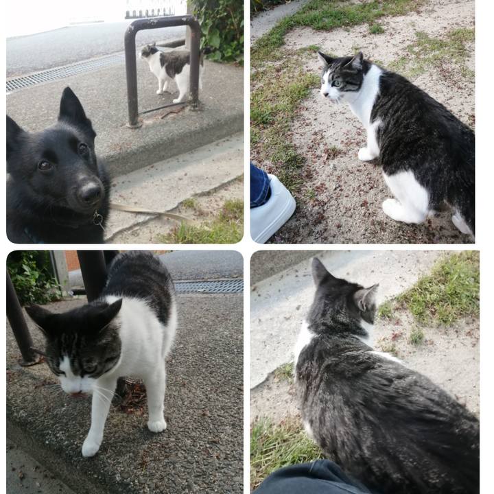 F01f2a0a f891 44a0 aecf 581d6fe2711b 1650185192787