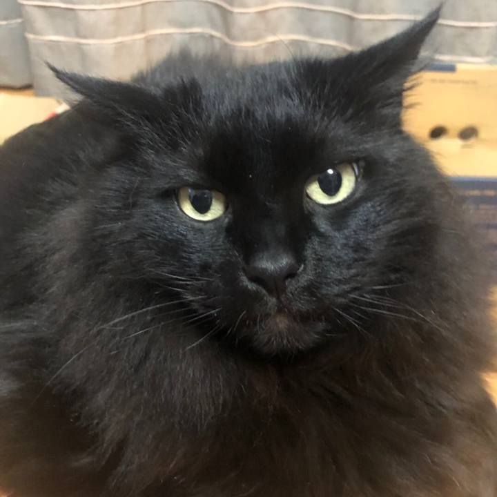 F01f3336 07af 44d9 b0ff c14d452d6807 1551615155771