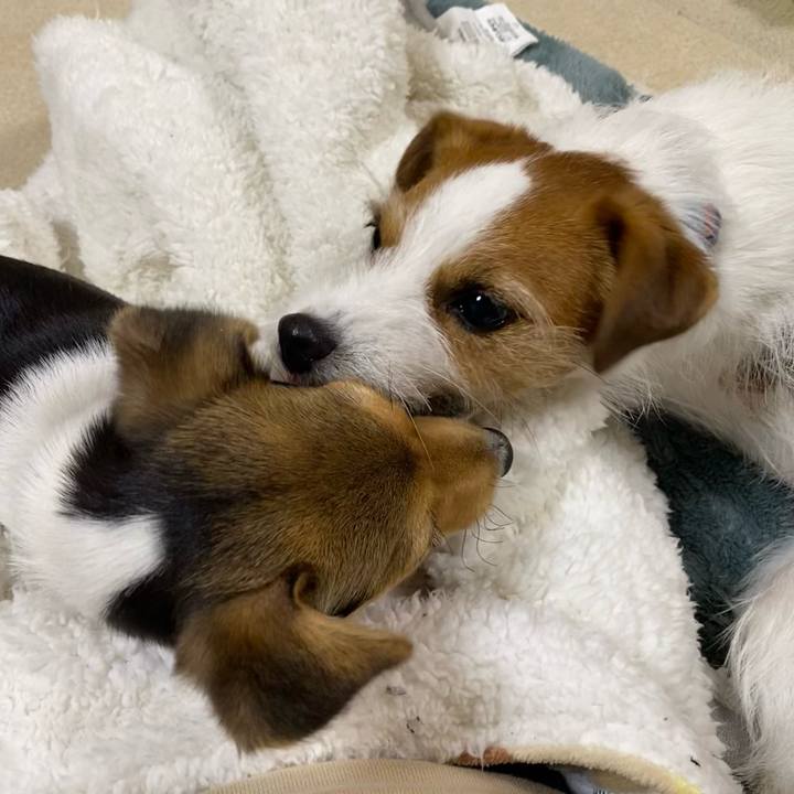 F01f60ae 21c0 41bb 8bc3 bb3b8f14974f 1744983498006