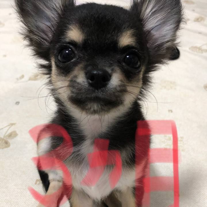 F01fd5a0 23dc 4d54 bbf3 27cb32473217 1536367732425