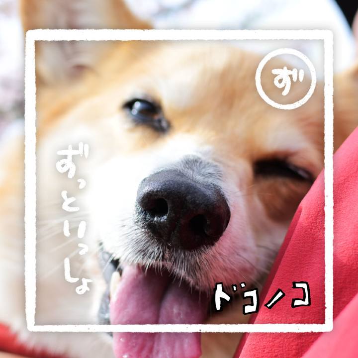 F01fdff0 4673 493f 8eb3 65ef2f9d33c6 1685968725730