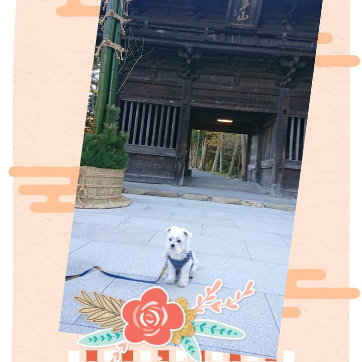 F0201504 92ac 4062 94df 453c149ba6be 1672535802552