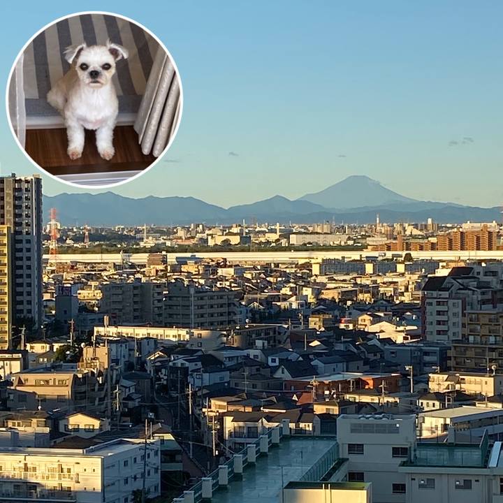 F02032f4 5515 4539 9dda 4bffc064d3b4 1570916569317