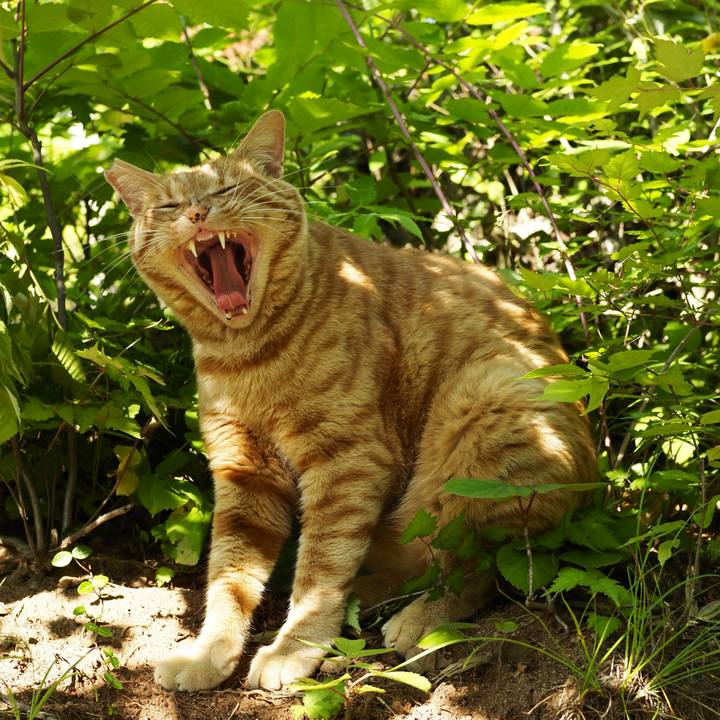 F02037f4 5bbd 4dd2 a594 36c94d09eeed 1751254213174