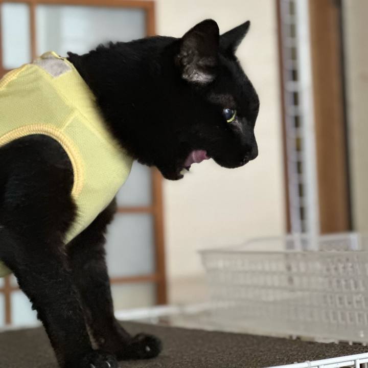 F0204ae6 8581 4985 9ac2 2c7749679b81 1719366180411