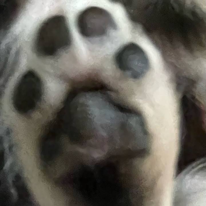F0204c5e ea66 4020 aa83 3240d421c35f 1677733554893