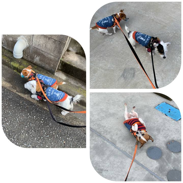 F0206536 13c0 43ce 933e 7b2109bebed7 1606958966191