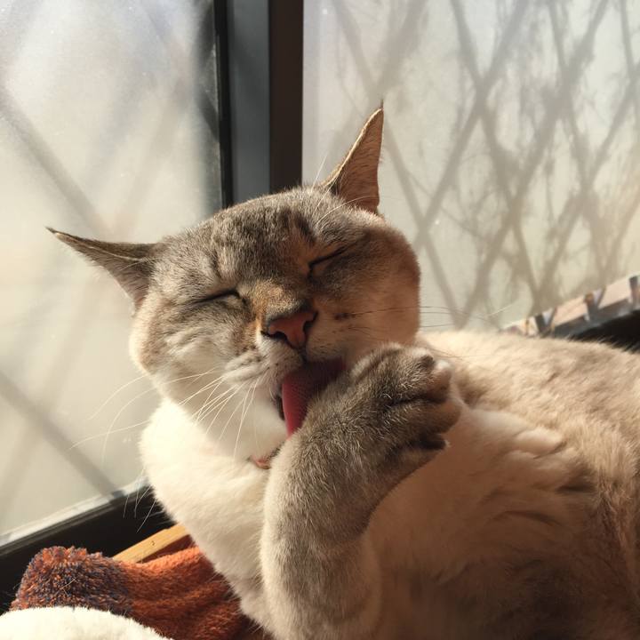 F0206a23 1ac4 4940 b2df d2b0b1b16d20 1544838312416