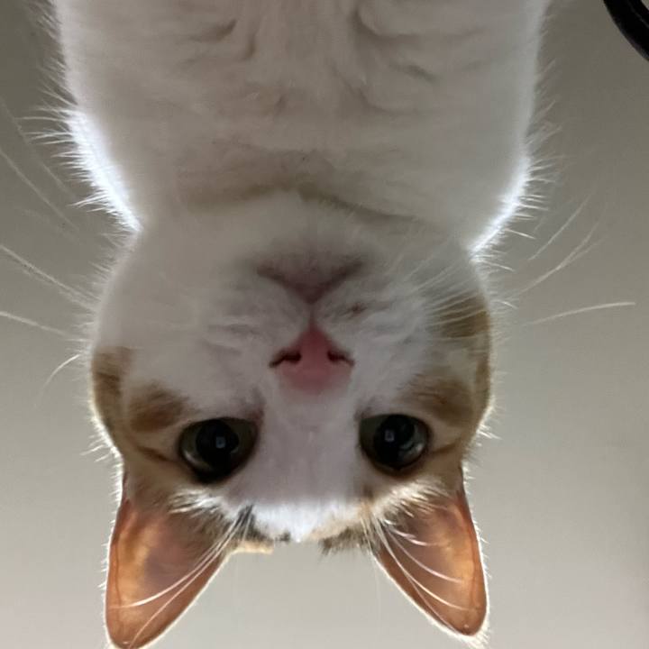 F0208edf 1d6c 4f49 b457 07aebc6f2558 1774189228685