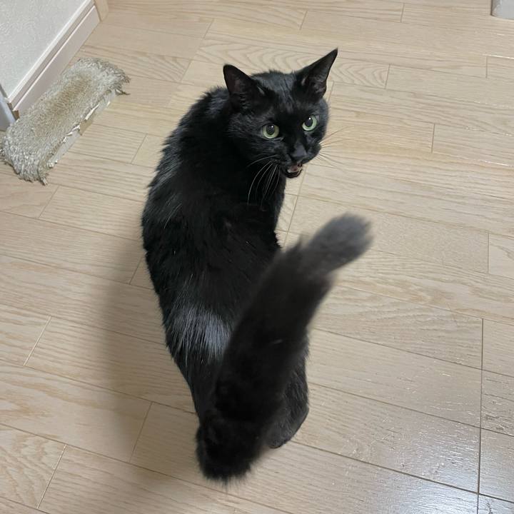 F020b6ab 3e86 4142 b14e 36cf762d45de 1651328853415