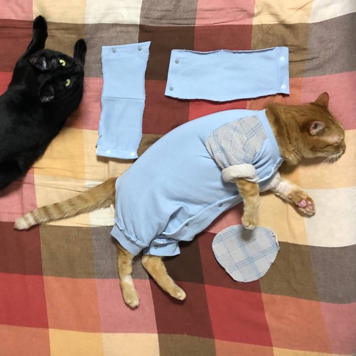 F020d8a2 688b 46b8 b879 b01edef738a2 1681639312459